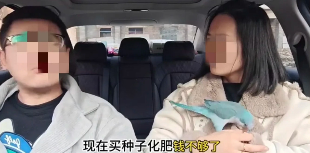 一对年轻夫妻五一休假旅途中，丈夫接到老母从老家打来的电话，说是家里买种子和化肥的