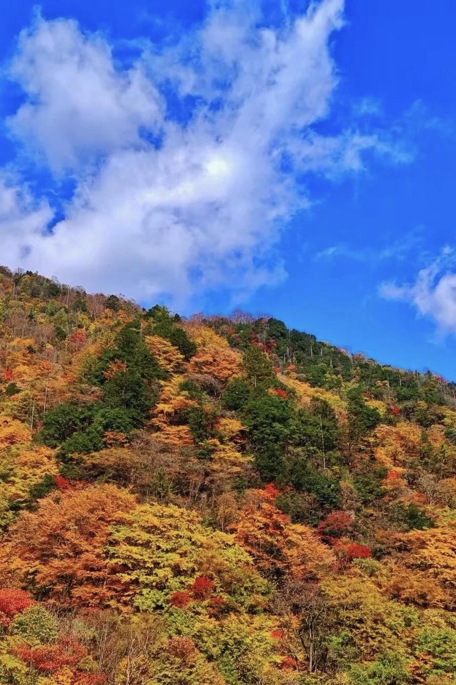 【辽宁是全国老龄化最严重省份吗】辽宁确实是全国老龄化最严重的省
