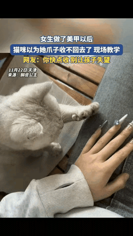 “太有灵性了！”一女生做了美甲回家，猫咪看到后竟以为她爪子收不回去了，直接现场教