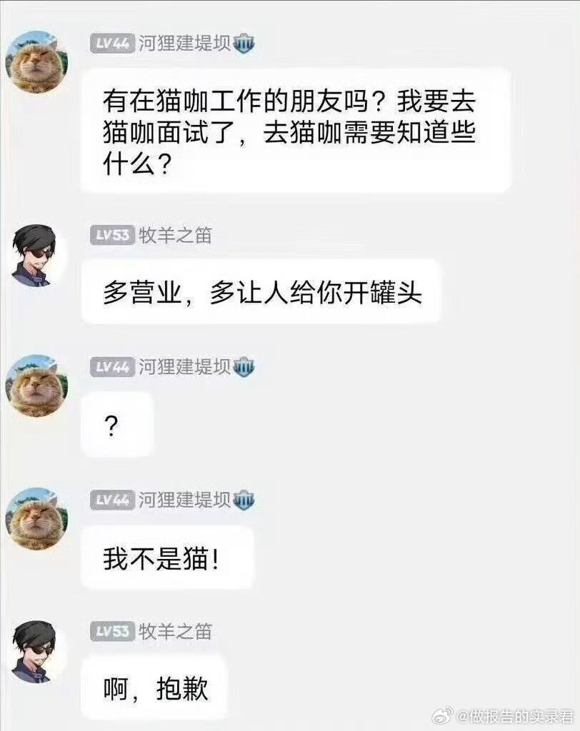 怎么证明你不是猫