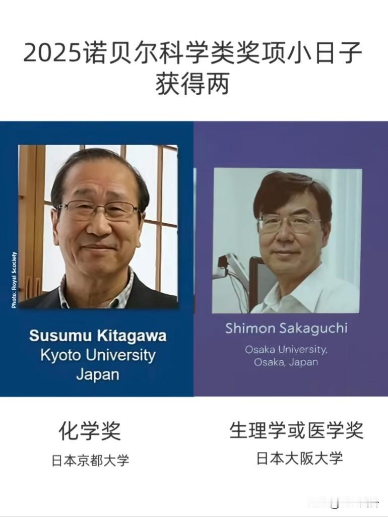 2025年诺贝尔科学类奖项，小日子获得俩，这下知道谁在裸奔了吧居然没热度，一年