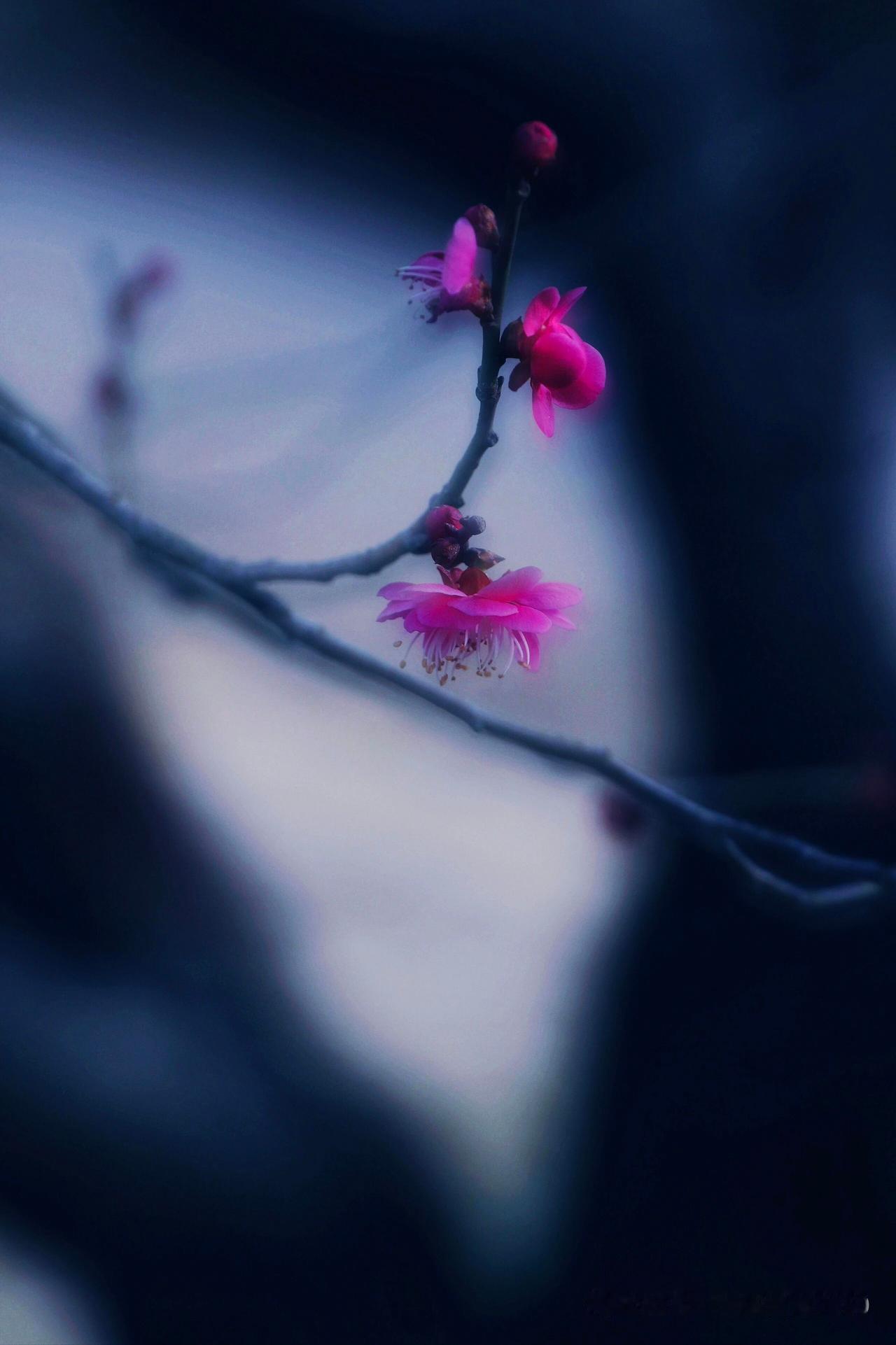 松？你根本不会松很多人站桩，一上来就拼命放松——肩膀往下塌，膝盖往上顶，浑身