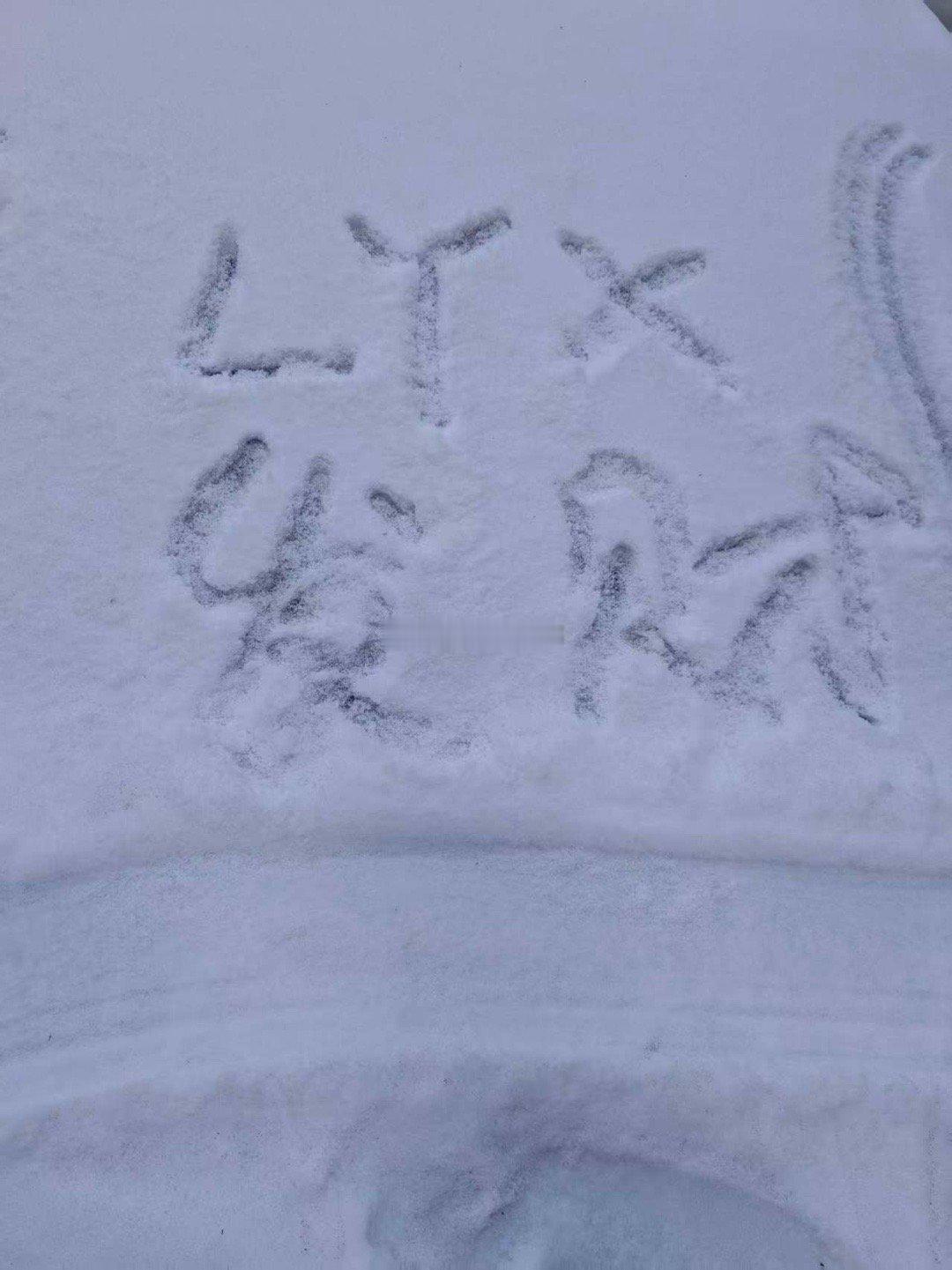 跪下来求你别喝酒了小熊