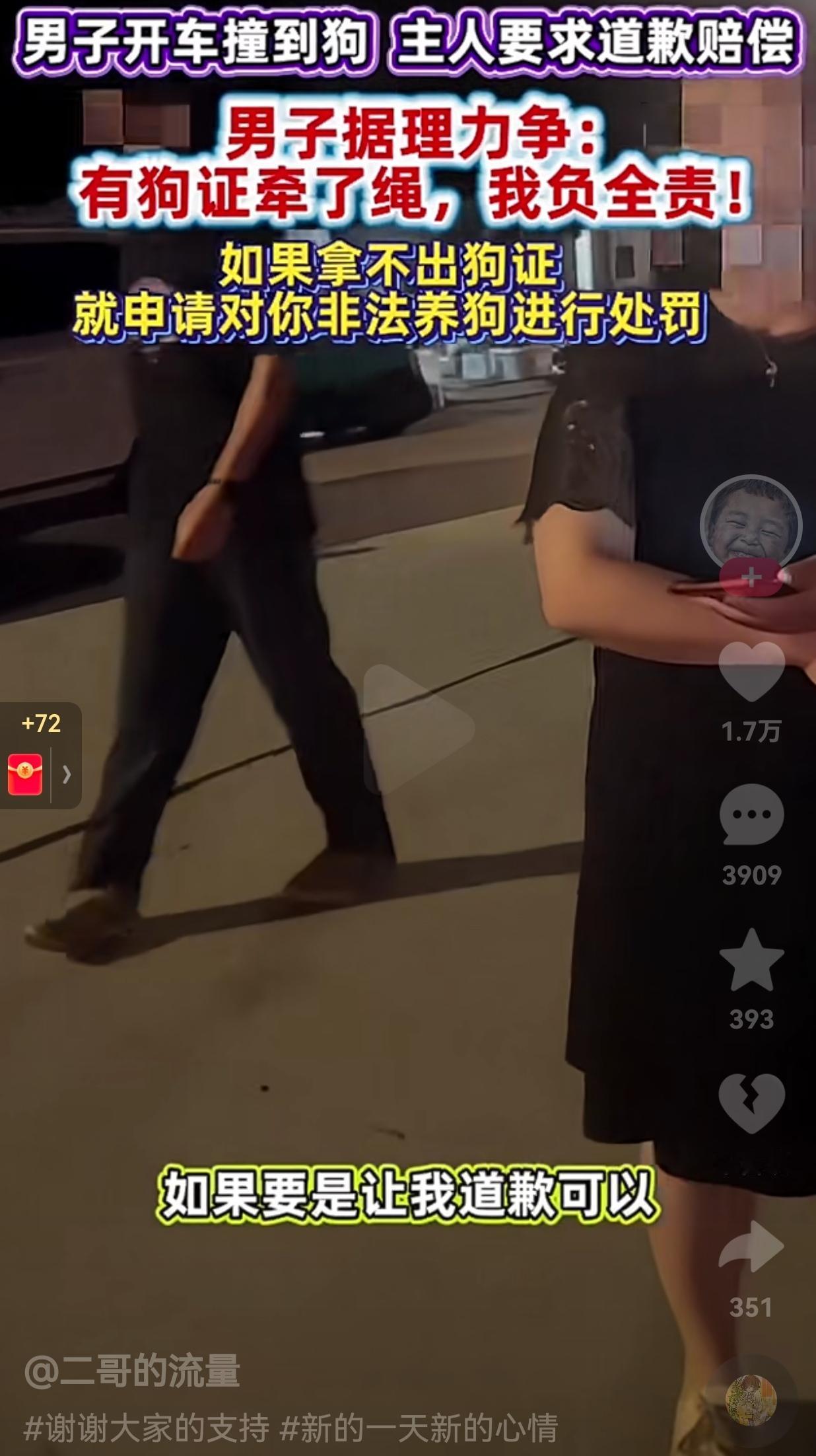 你认为要赔偿吗？一男子开车撞到了狗，这一幕被狗主人看到了狗主人拦停了男子，并要求