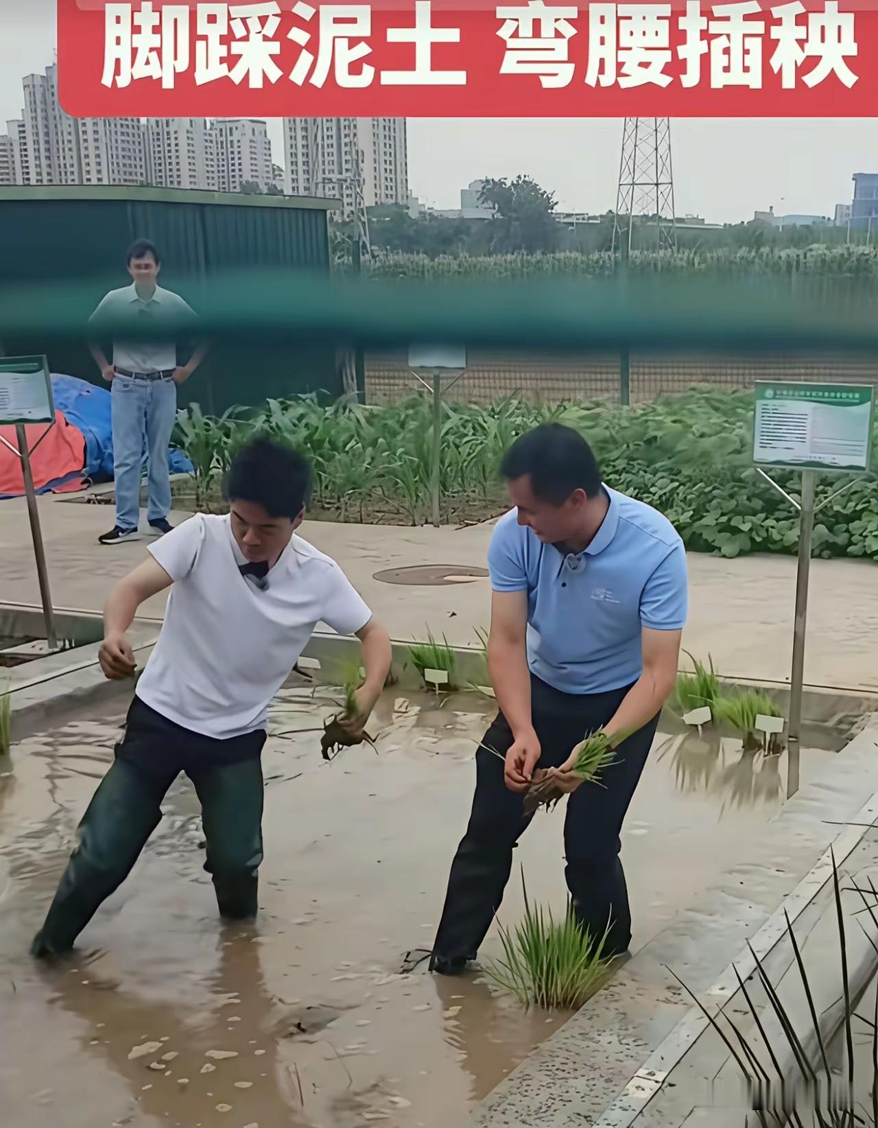 现在真有点"怕"孩子看董宇辉直播，不是不好看，是太费妈了点。上次他解剖种子胚