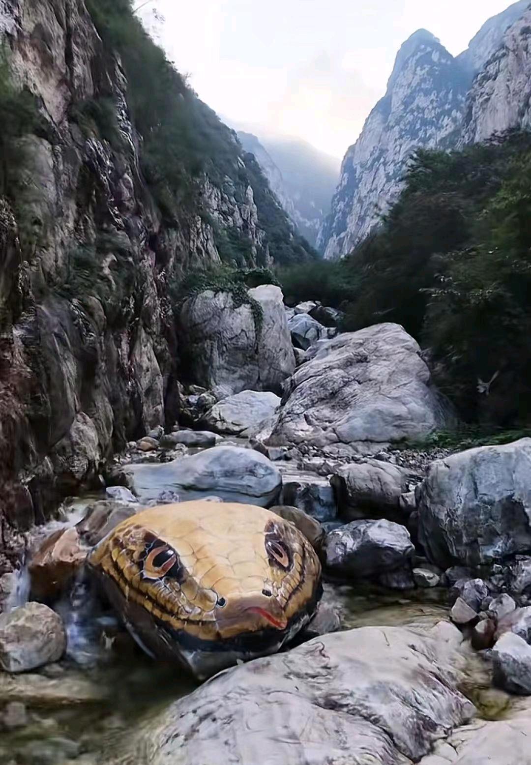 从一开始我就知道河南玉皇沟巨型蛇头存在不了几天，为什么呢？因为总有一些人把创意性
