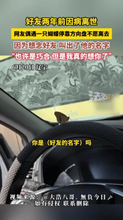 据了解，男子正要开车去上班，结果打开车门坐在主驾驶上，抬头就看到方向盘上停着一只