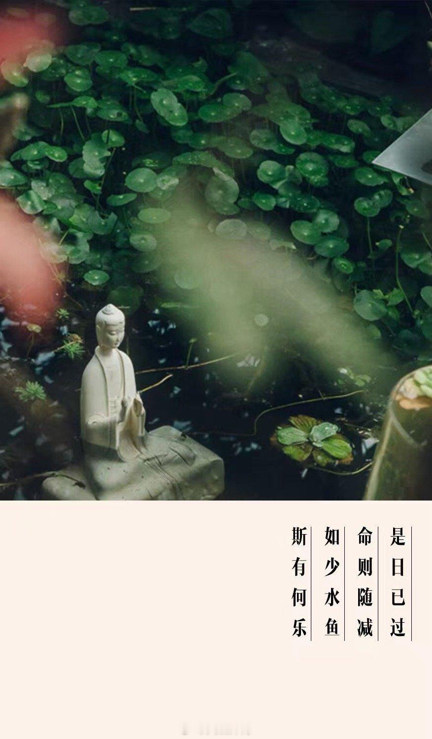 四种迹象暗示你转运了。1.你没有了怨气，而且你的面相也没有以前的拧巴愤怒，反而变
