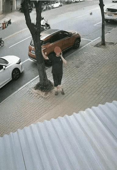 人问题还是树的问题？这是个问题。