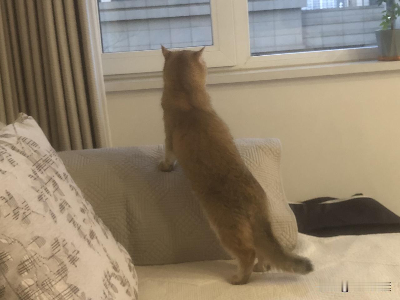 儿子回北京了，在时无感觉，离时多不舍初五，9点，儿子带着媳妇和黄百万回北京了