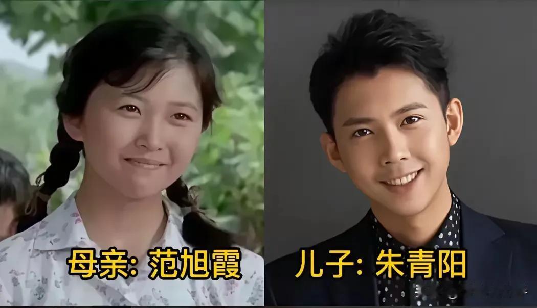 演艺圈里的母子，朱青阳的妈妈很漂亮、毛孩妈妈很优秀、陈赫妈妈很优秀、林雨申妈妈很