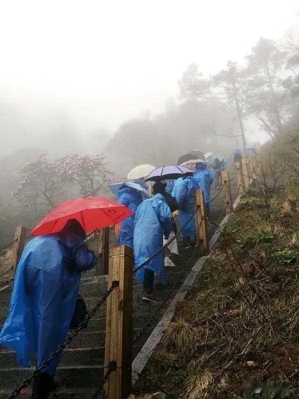 黄山景区三天捡了18个孩子，平均一天捡6个孩子。前几天是五一黄金周，大家就是