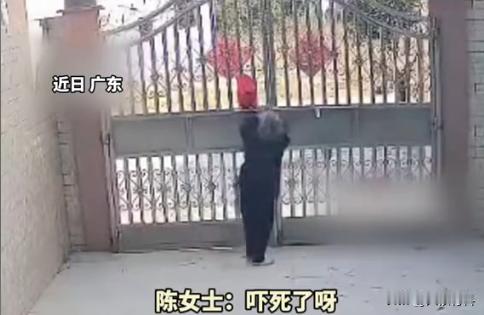 “离了个大谱！”近日，广东汕尾，一位82岁老人想外出，但是家门口的大铁门却怎么也