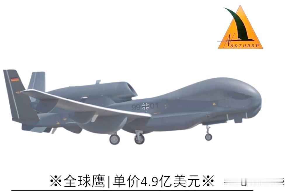 日本“弄丢”全球鹰，更像是针对美国的“苦肉计”！一石两鸟！资料显示，一架全球