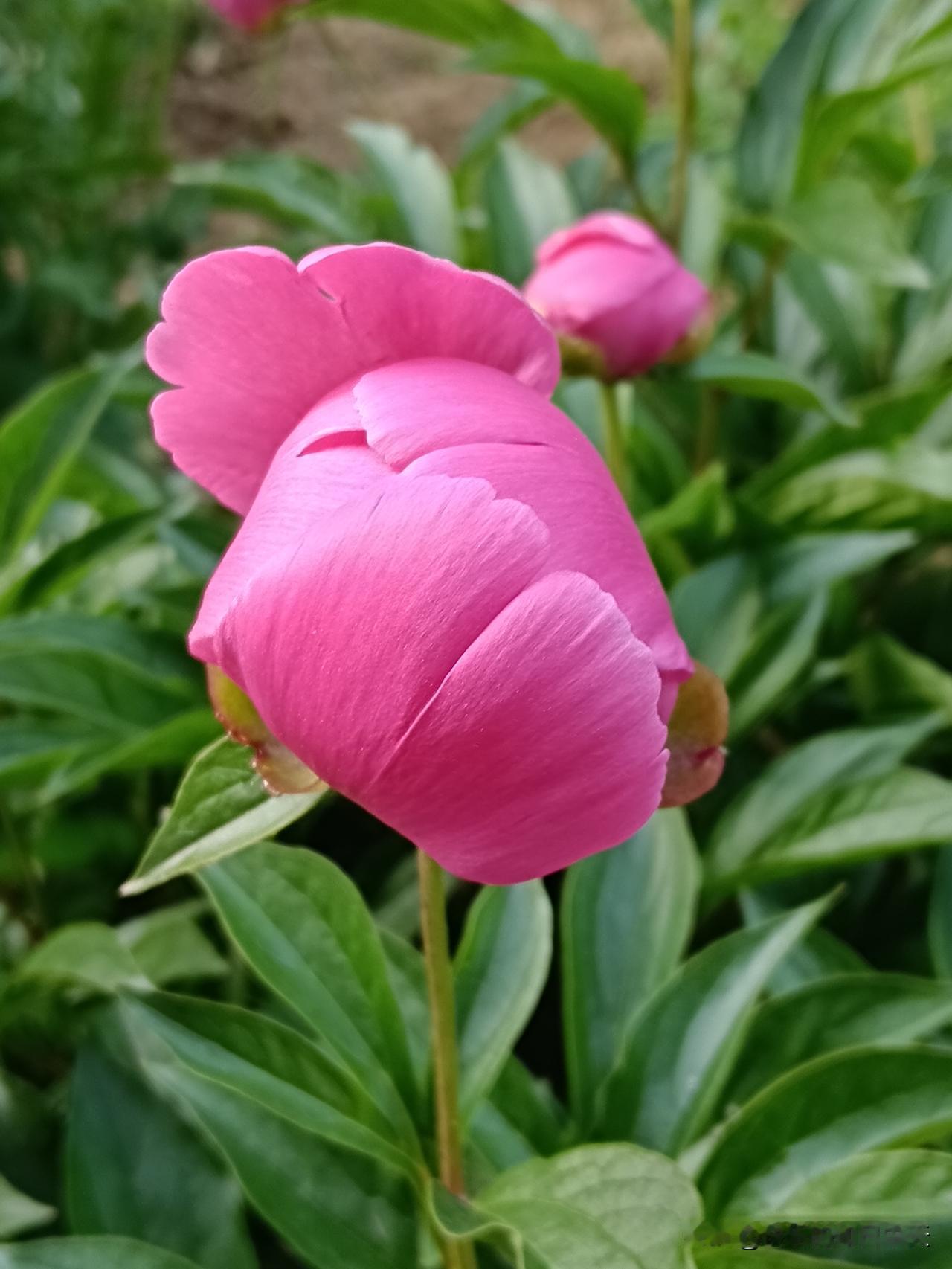 饭后作死十大步，你到了第几步？1、饭后立马吸烟——加快有害成分吸收2、饭