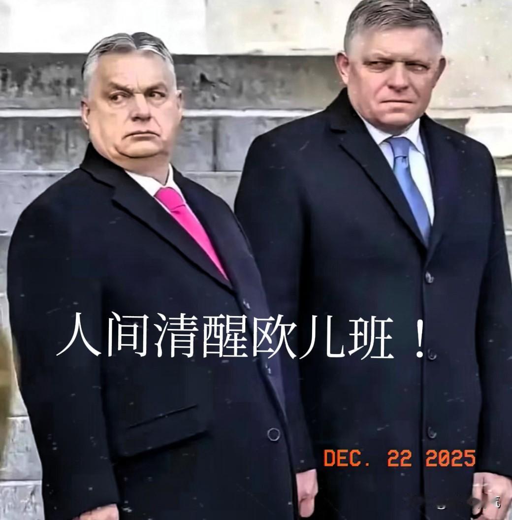 欧盟一直不断的给乌克兰贷款真相，被匈牙利总理欧尔班当场揭发，真相震惊了整个世界！