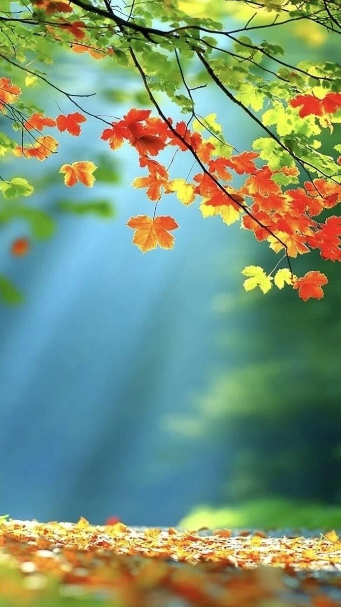 share|温馨安静的壁纸