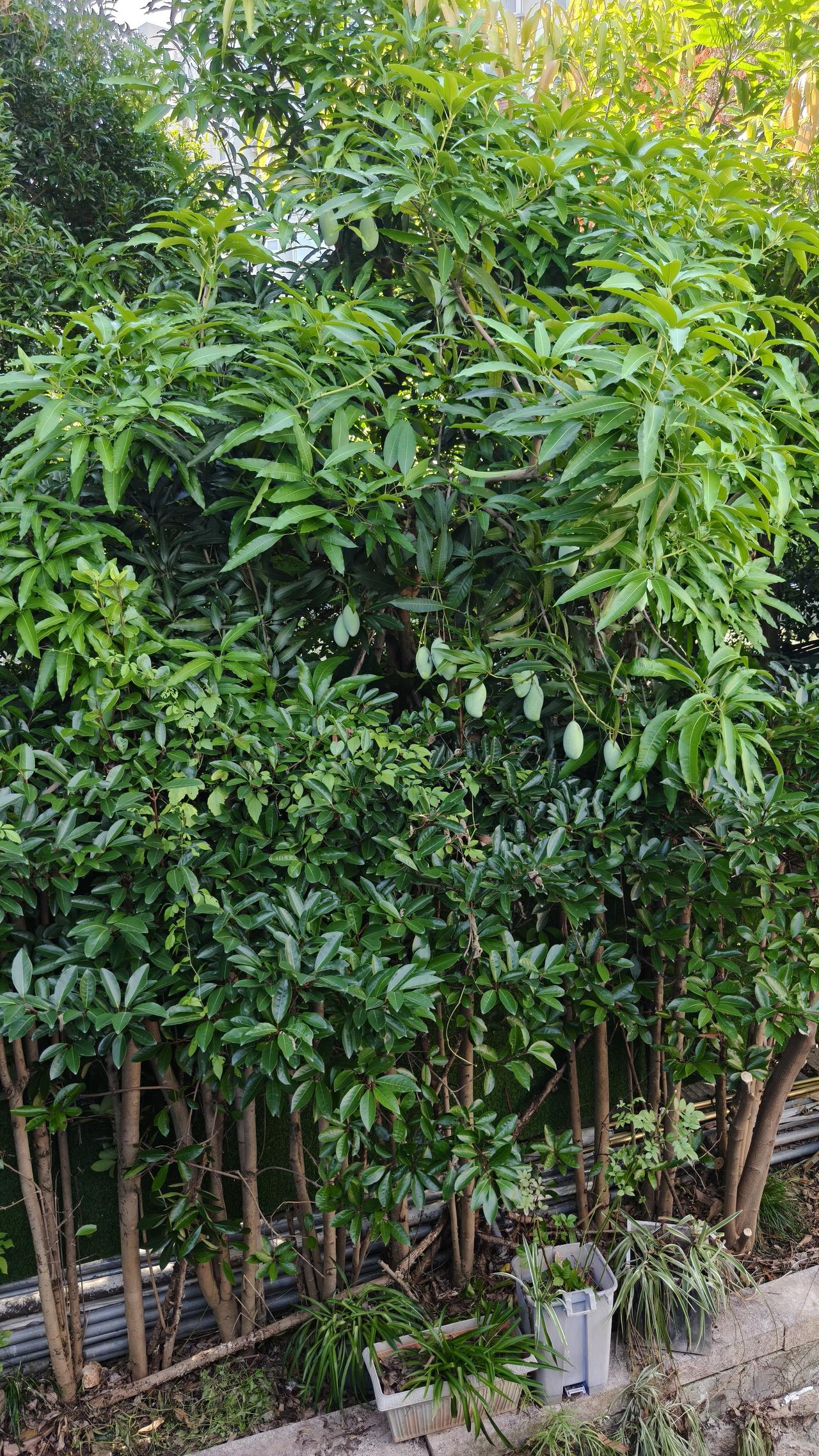 我有位朋友长期在小日子生活，前几天她给我打来电话，说她父亲去世了。听闻这个消息，