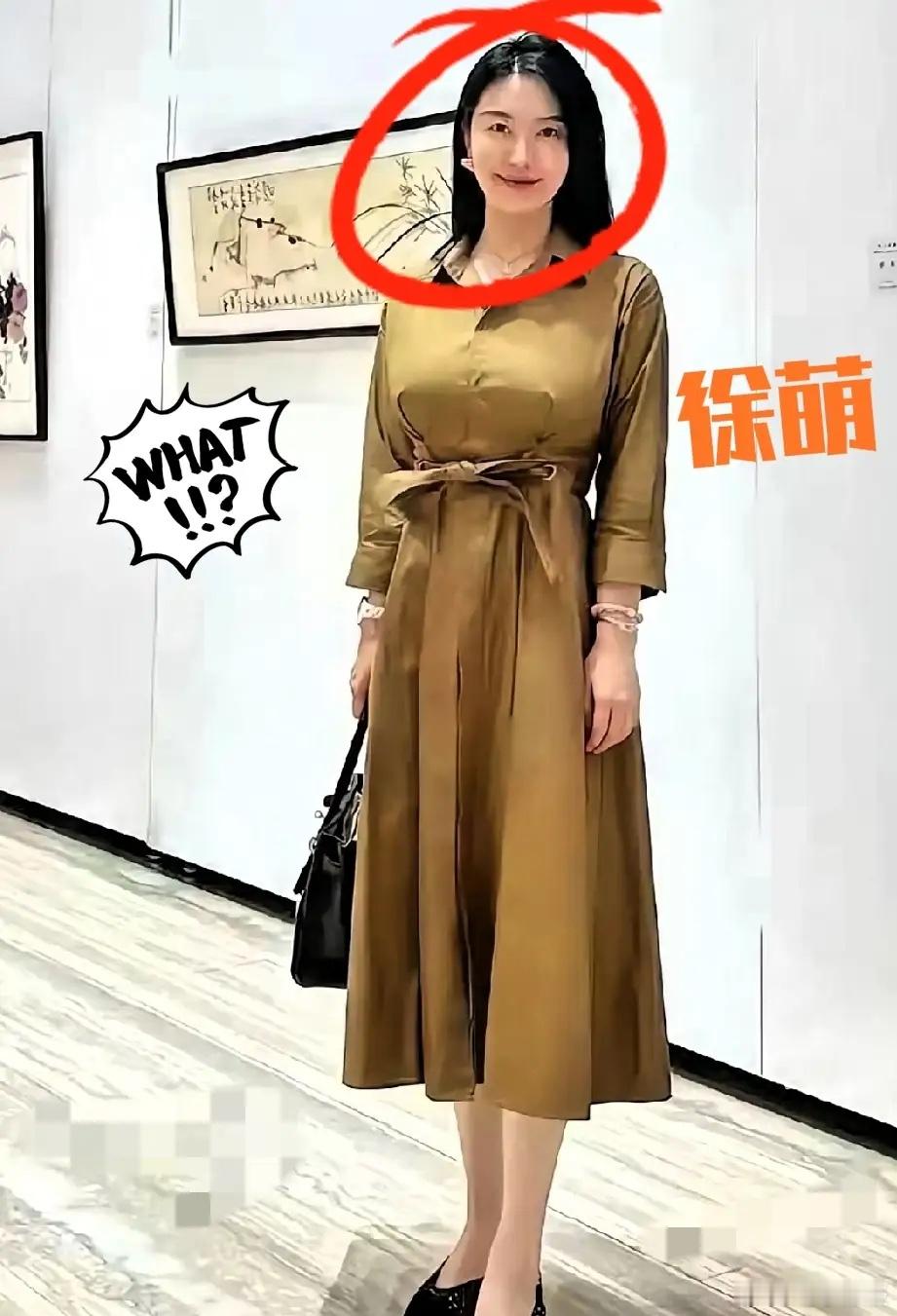 范曾第四任妻子不简单啊！此女子名叫徐萌，中国著名书画家范曾的第四任妻子，比范曾小