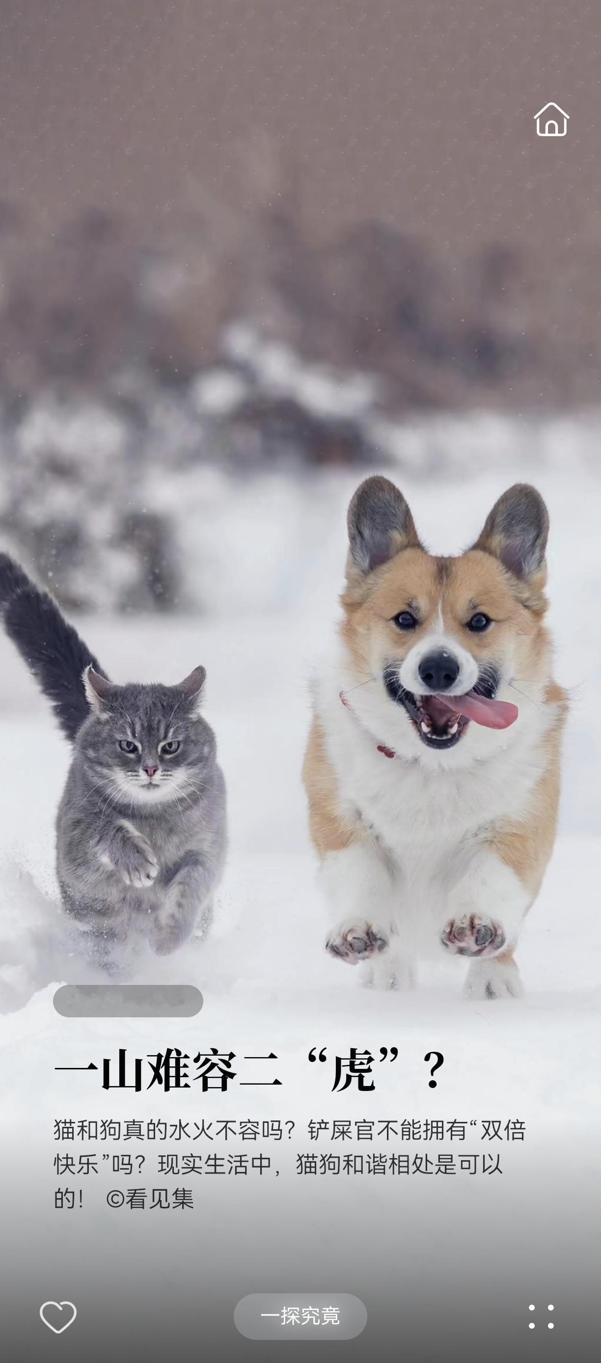 我国离婚率最低的10个职业一、教师离婚率8%二、医生离婚率10%三、军人