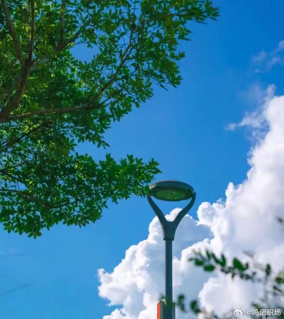 别太在意别人的眼光，那会抹杀你的光芒。[比心]​​​