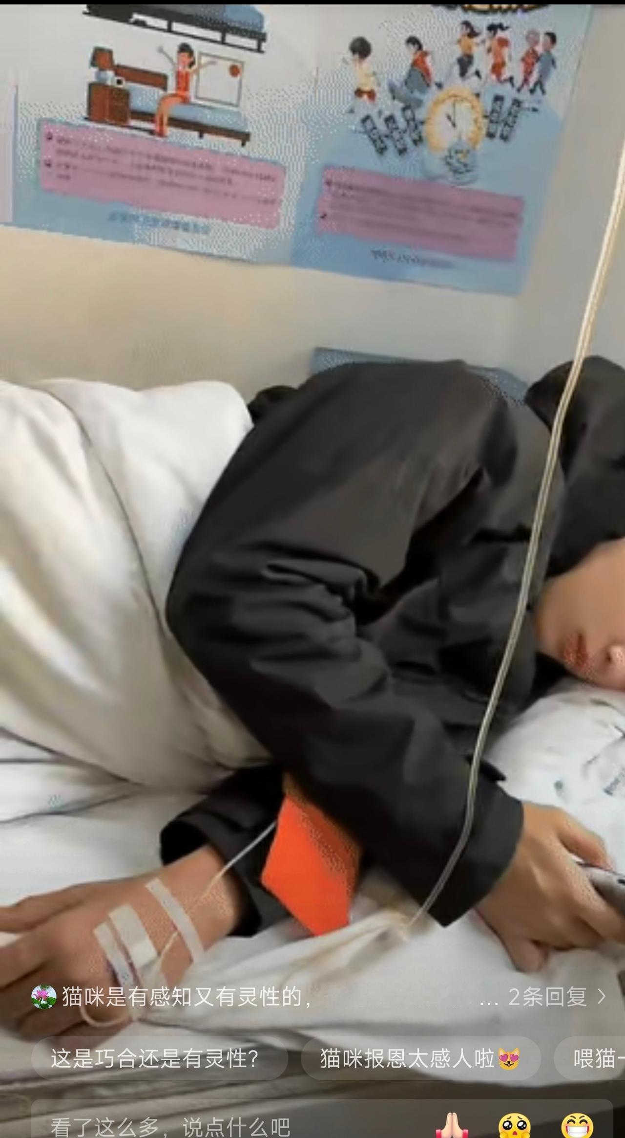 科学也解释不清了！女子带儿子爬山，突然感到身体不舒服，正愁的找不着北，一只橘猫