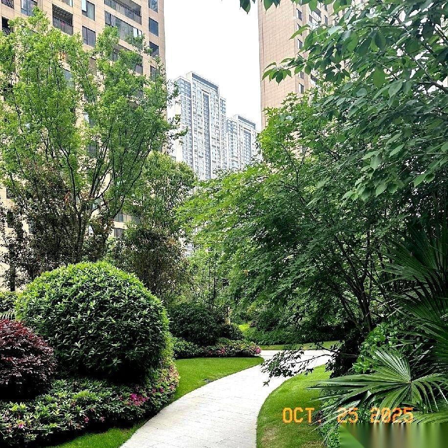 完了,楼市这回真要大洗牌了。不是崩盘,比崩盘还刺激。国家队下场,不是来救市的