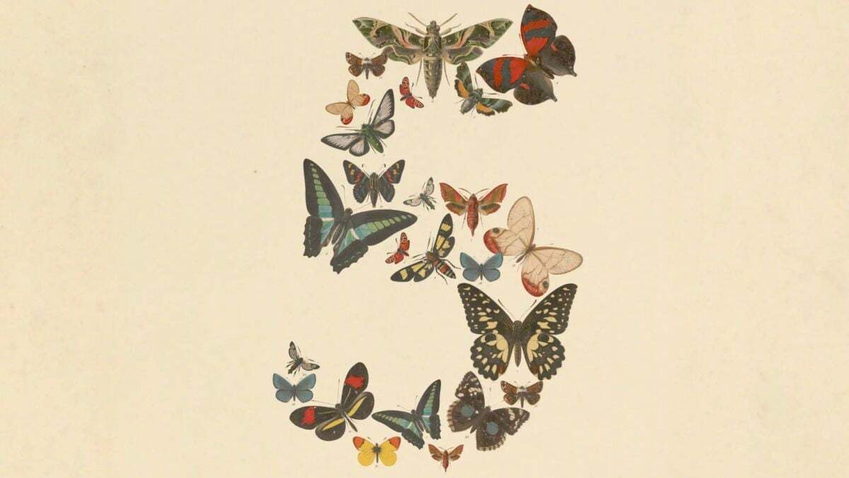 问AI一道小学三年级水平的生物题，它可能会拒绝回答，理由是这个话题有潜在危险。过