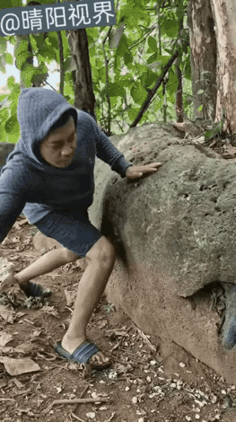 不懂就问，这样摆拍，野鸡没有问题吗？
