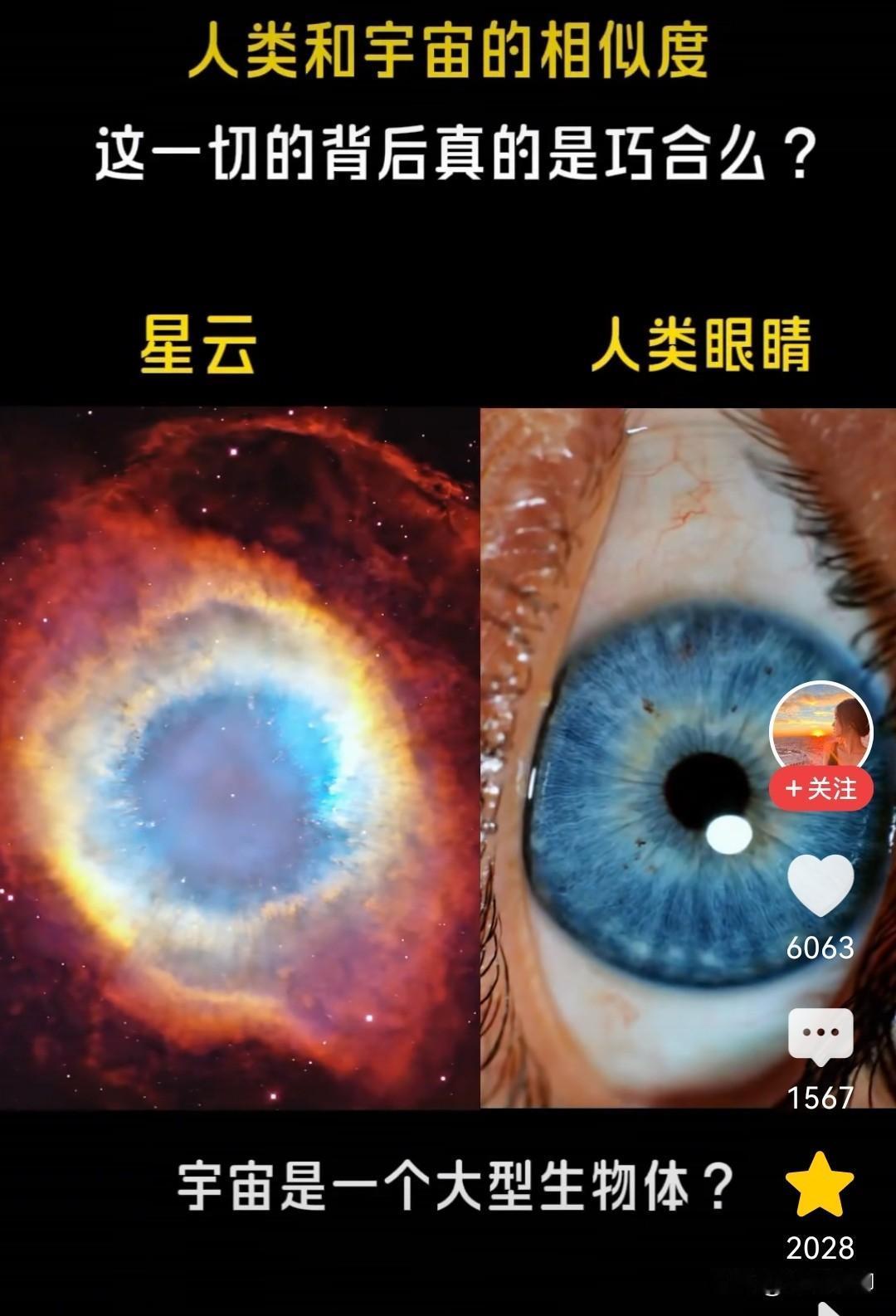 不知大家发现没有，人类和宇宙其实特别相似。宇宙就像个超级大的生命体，地球就是它身