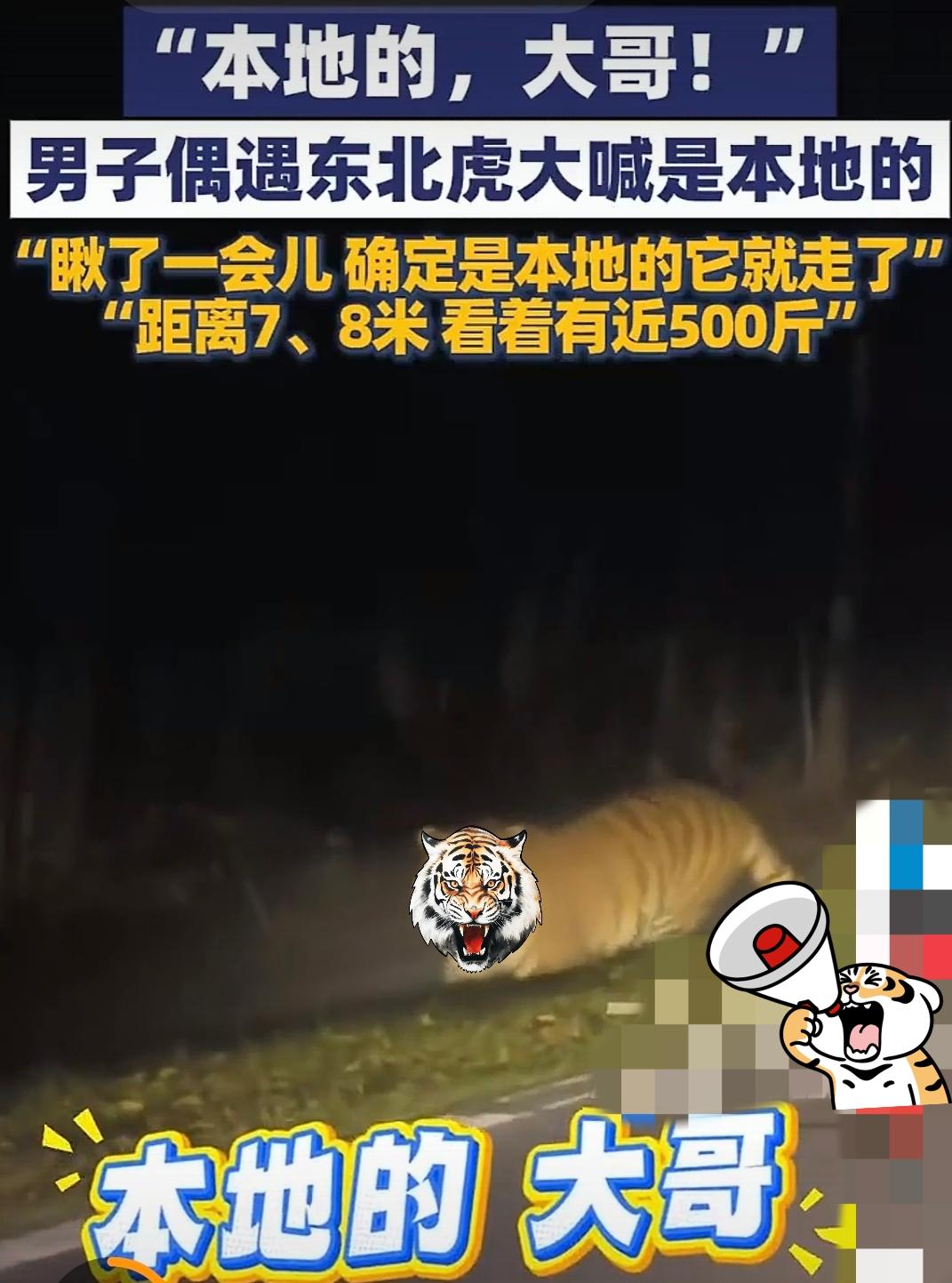 半夜路上遇到500斤的大老虎，换了我肯定腿软！这位大哥可机智沉着了[灵光一闪