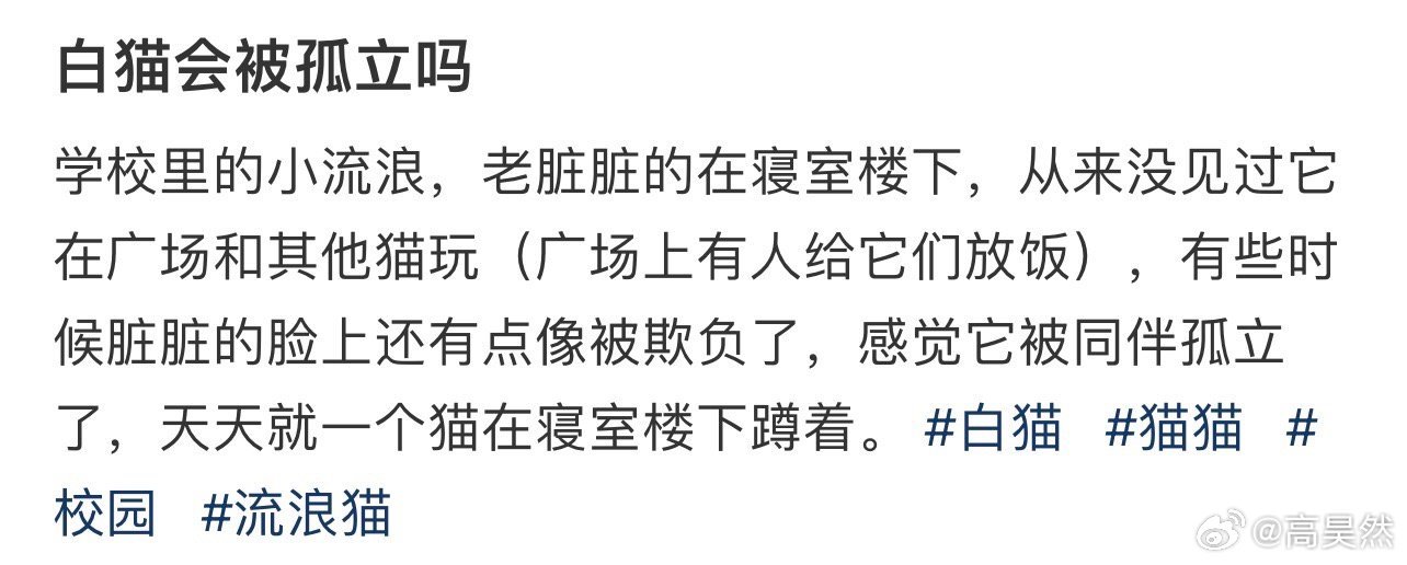 白猫会被孤立吗！！！
