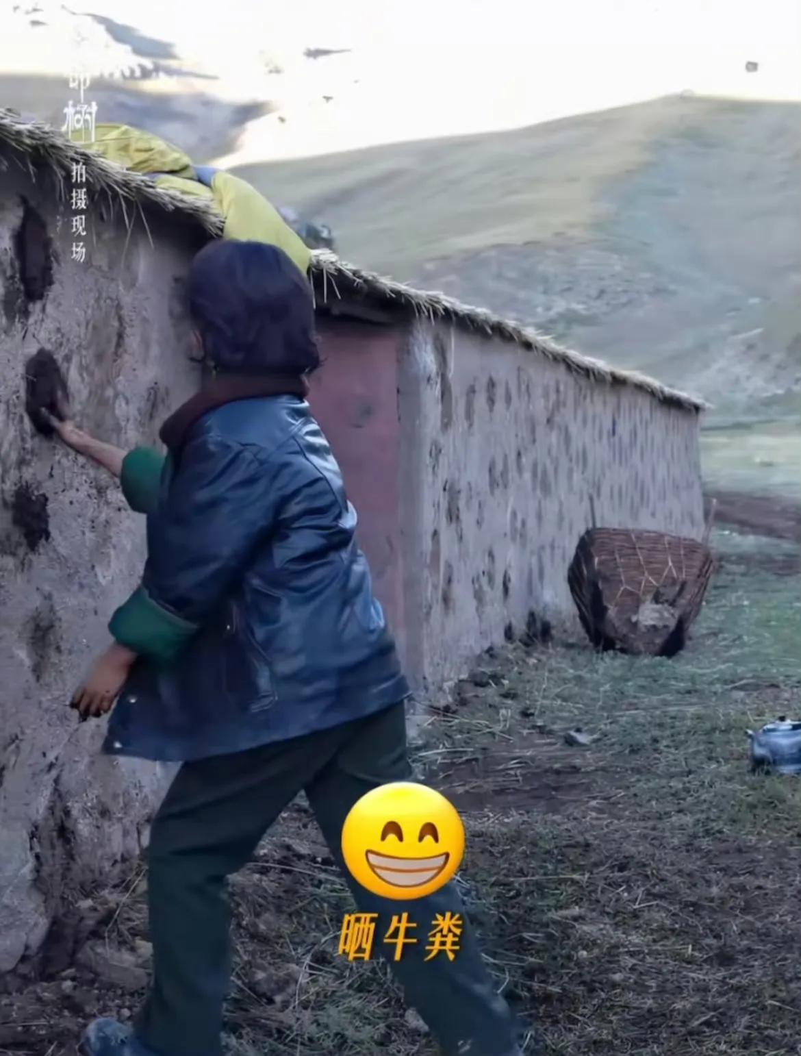 杨紫为新剧《生命树》彻底豁出去了！在海拔4000米高原拍摄，她素颜上阵脸被吹裂，