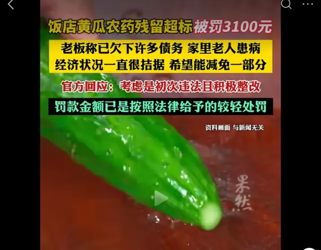 饭店从蔬菜店批发黄瓜被市监检测超标! 处罚三千, 回应: 最低标准!