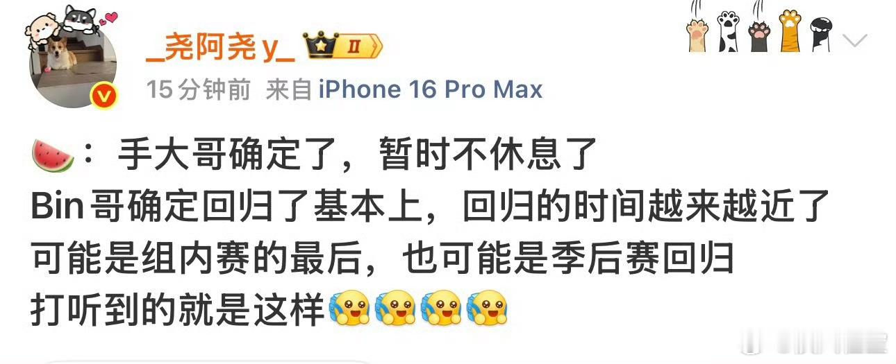Bin哥后续会回归Wenbo摔伤，圣枪哥还在磨合期，Bin哥这次回归是板上钉钉