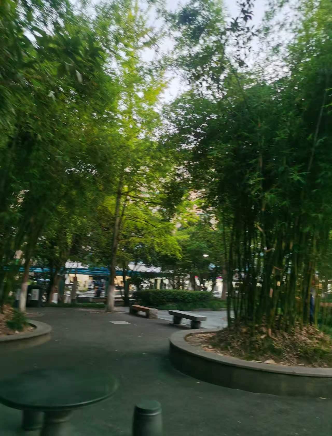 2020年1月，31岁的张志超走出法院，抬头看了看天，说了句“天好大”。这一刻，