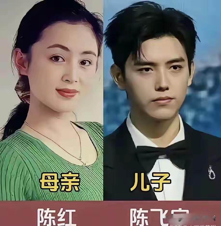 王馥荔和儿子王骁陈红和儿子陈飞宇洪欣和儿子张镐濂三位老牌女演员气质出众，颜