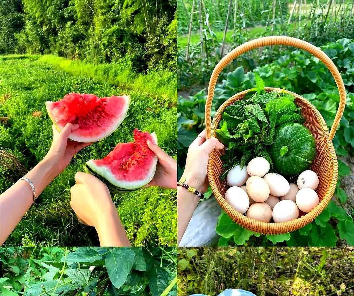怀疑过黄圣依妈妈上节目是为了宣传也怀疑过是为了给黄圣依搞流量但是