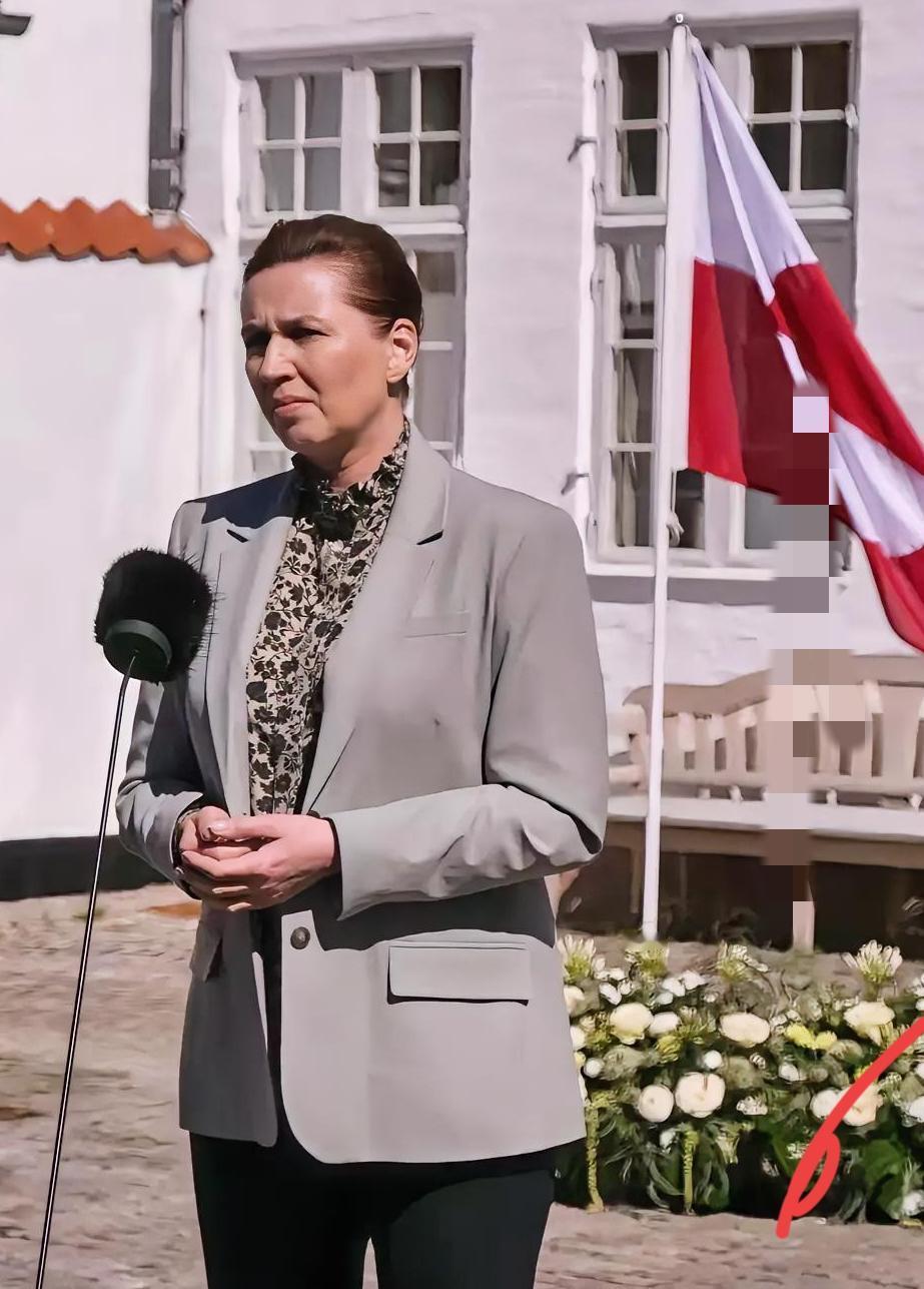 终于回过味儿来了。之前看丹麦那位女首相，疯了一样咬着东方大国不放，我还纳闷，多