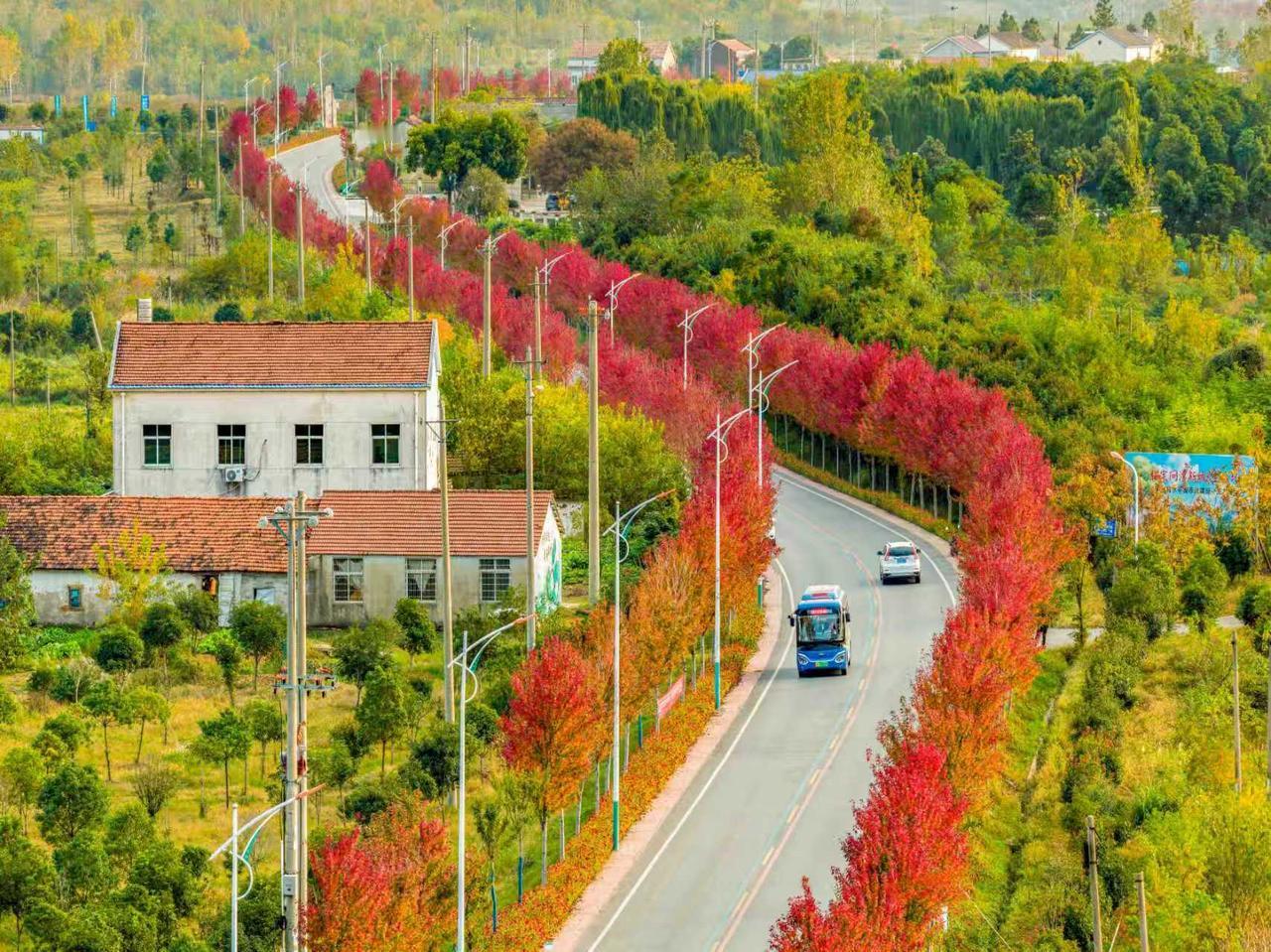 2025年11月7日，农历年巳蛇年12点03分48秒是冬至，冬至是二十四节气的第