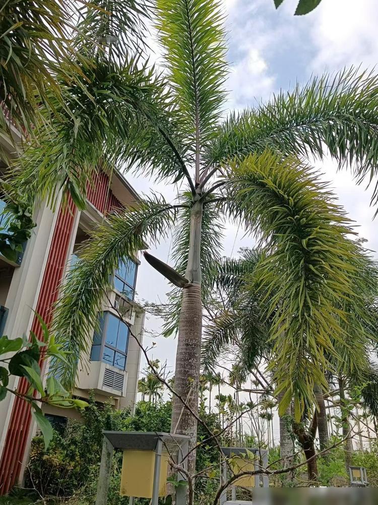 别不信，在婚姻里最蠢的男人就是和家人合起伙把老婆逼走。见过不少这种案例，男的