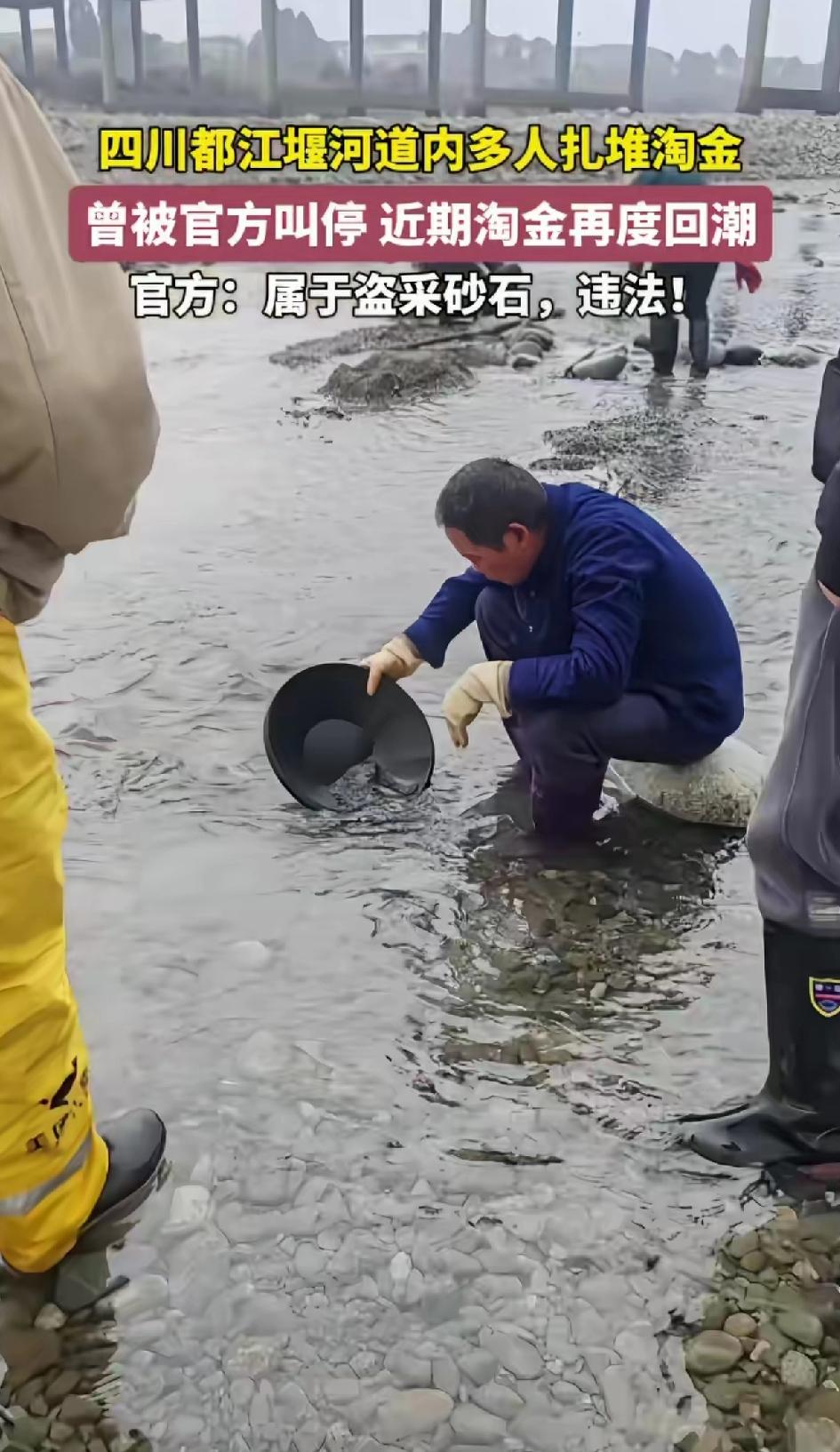 四川都江堰河道内多人扎堆淘金，曾被官方叫停，近日淘金再度回潮。官方：属于盗采砂石