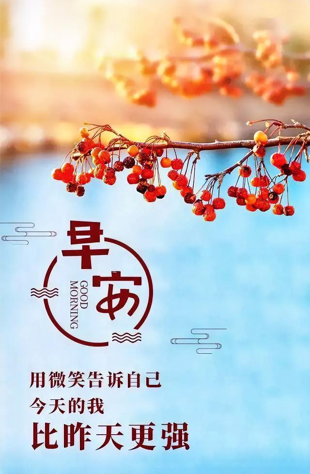 晨光倾洒红果枝头，早安！元气满满开启新一天！微笑着告诉自己：今日之我，胜昨日之我