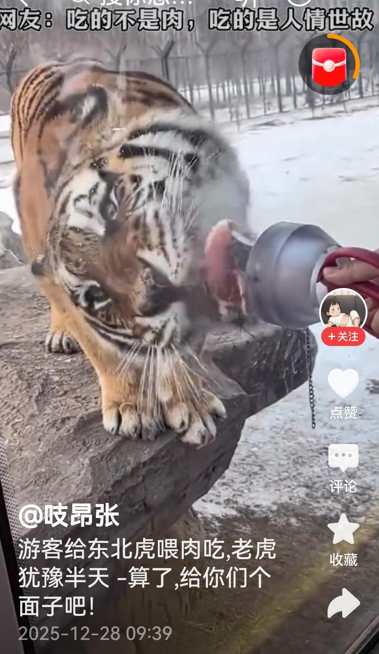 到动物园给老虎喂食，既能够满足游客的好奇心，也能够给动物园增加收入，好像是个两全