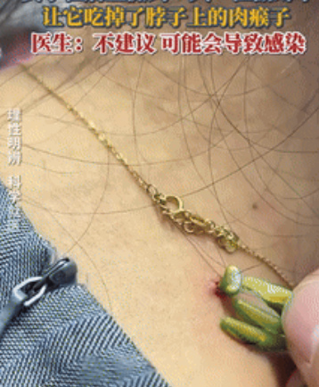 这是个狠人！山西，一女子正在店里工作，突然有只螳螂闯了进来，谁料，当同事准备踩死