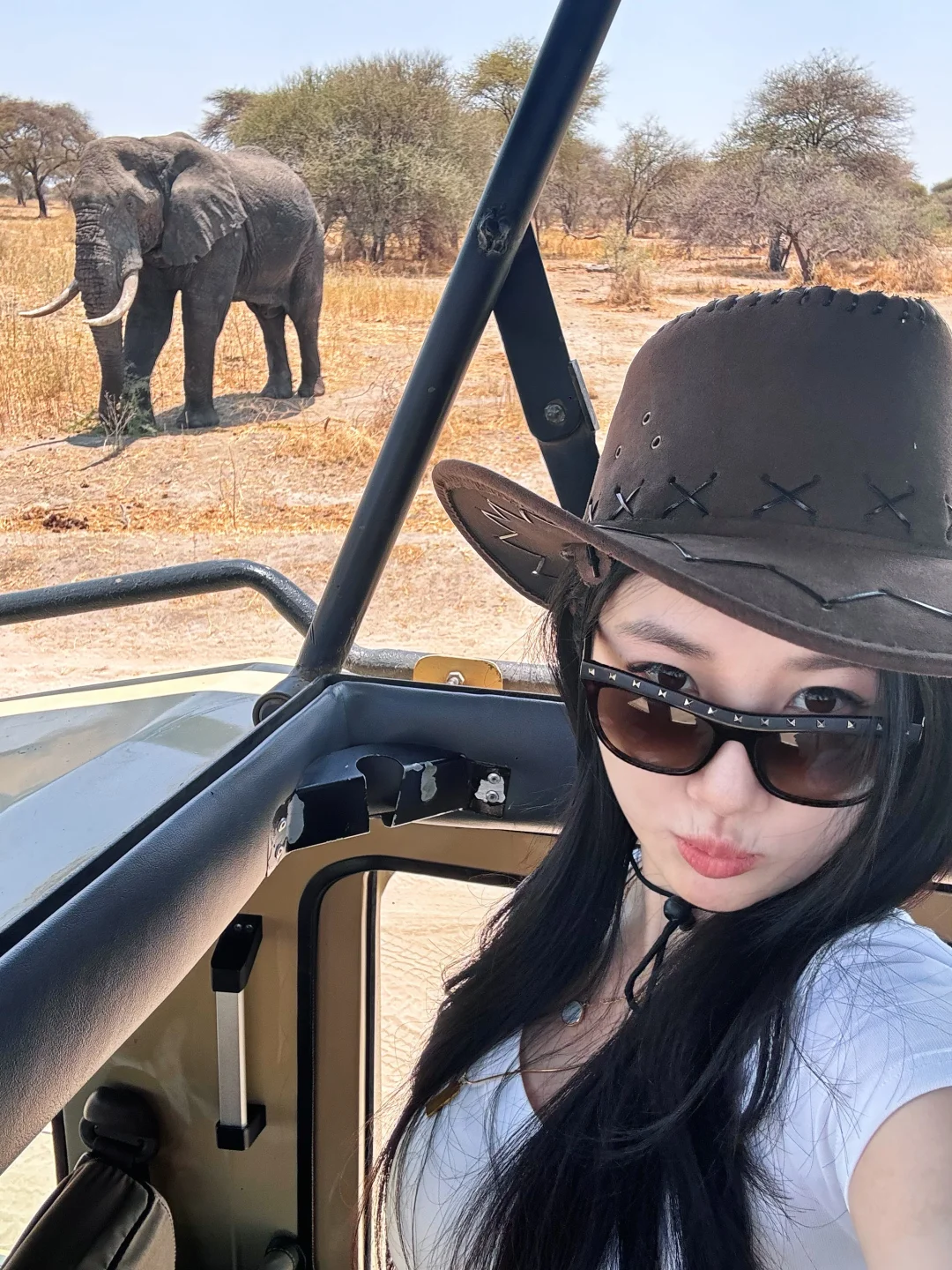 非洲Safari🦒8天7晚攻略·草原上的终极浪漫✨