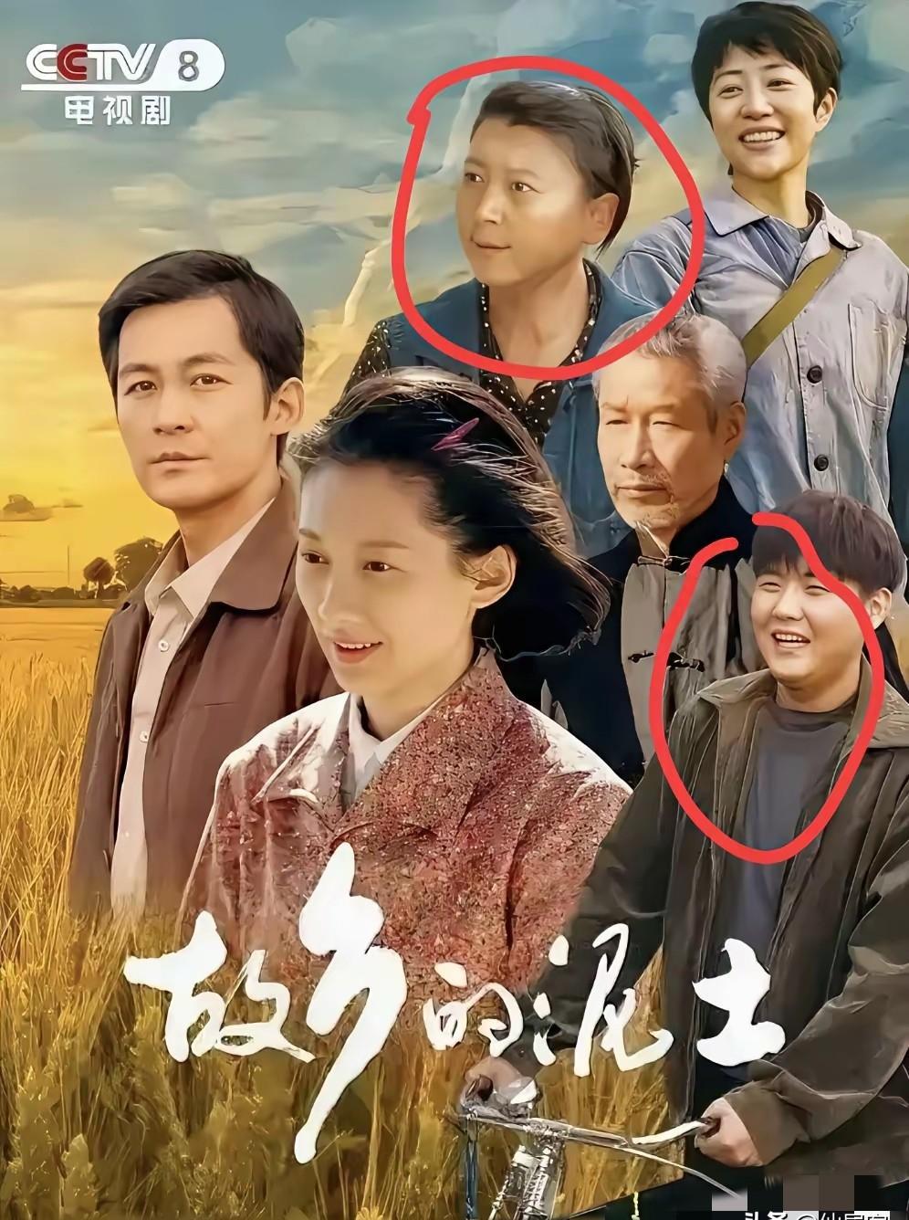 昨晚《故乡的泥土》复播数据出来了。📉比停播前，掉了整整0.8个点。就因为