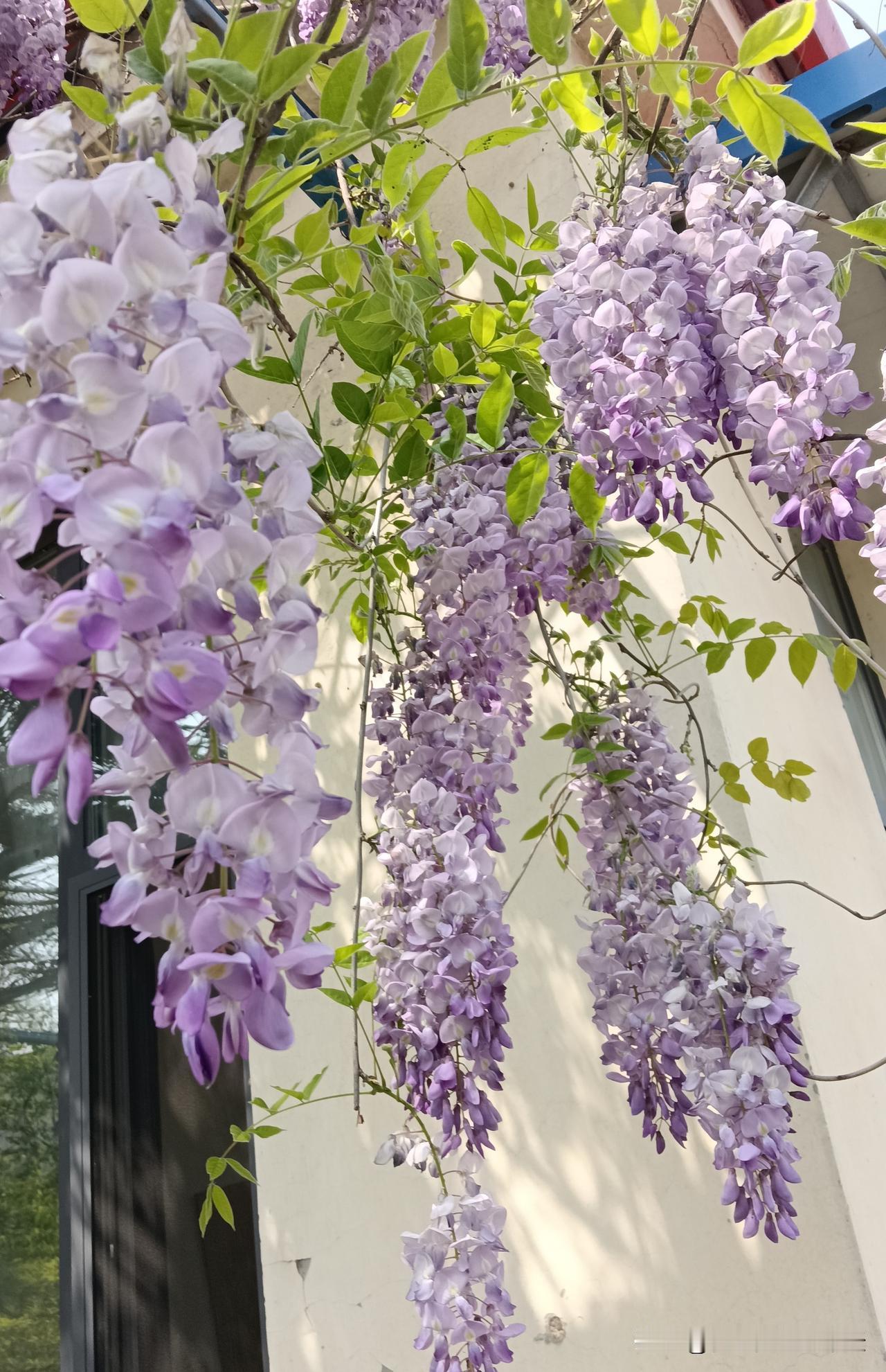 无法解释的玄学，不要不信1.属牛的人，钱财比较多。2.属鼠的人，事儿比较多。