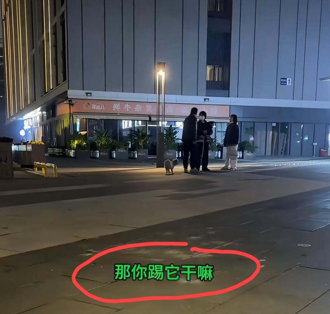 街边让人迷惑的一幕！大哥牵着绳子遛狗，狗差点咬到两名女子，大哥直接踢了狗一脚，