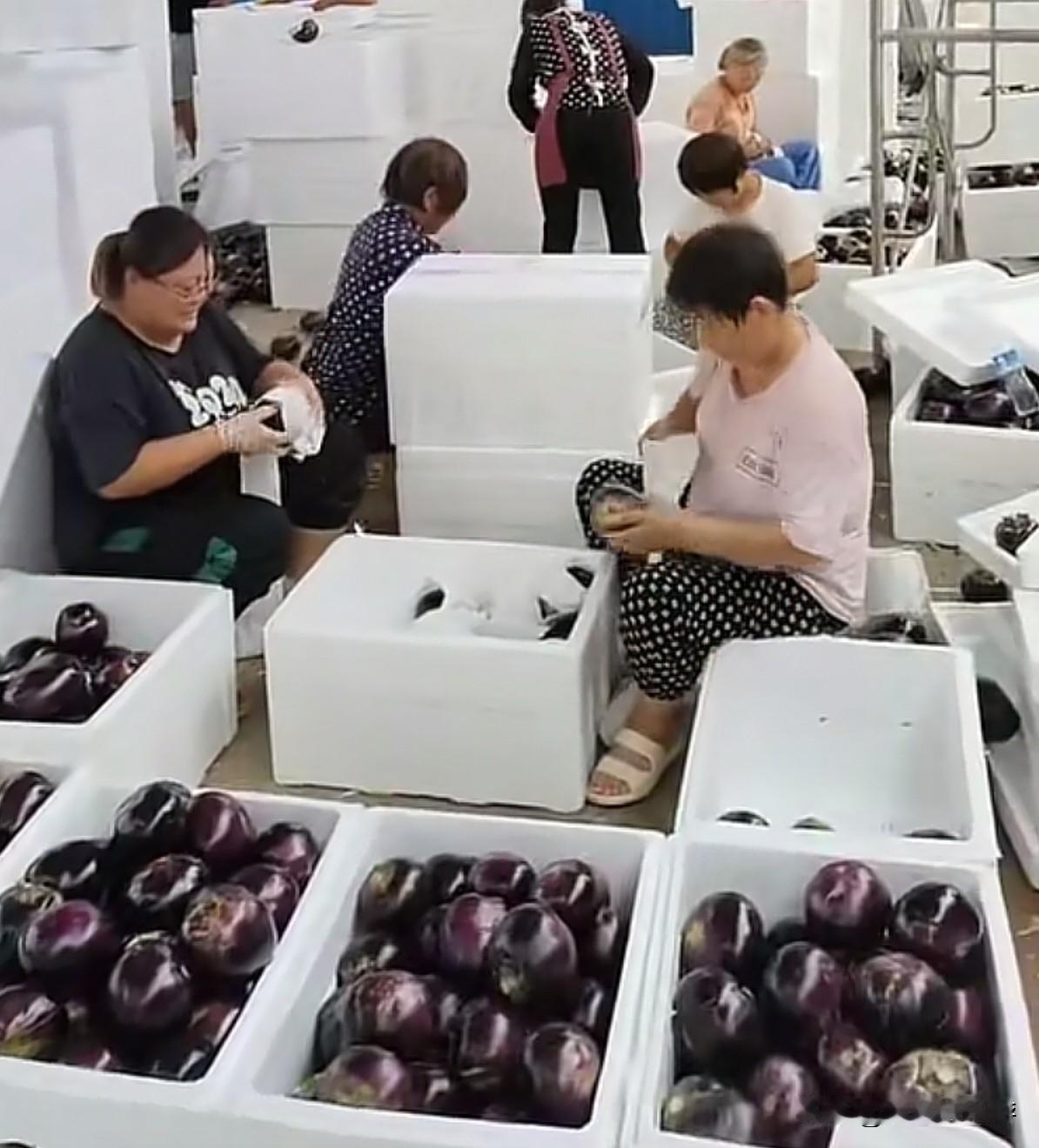 自己一个人在家做电商，今天要打包6000多个茄子，一个只能赚8毛钱，挣钱不容易啊